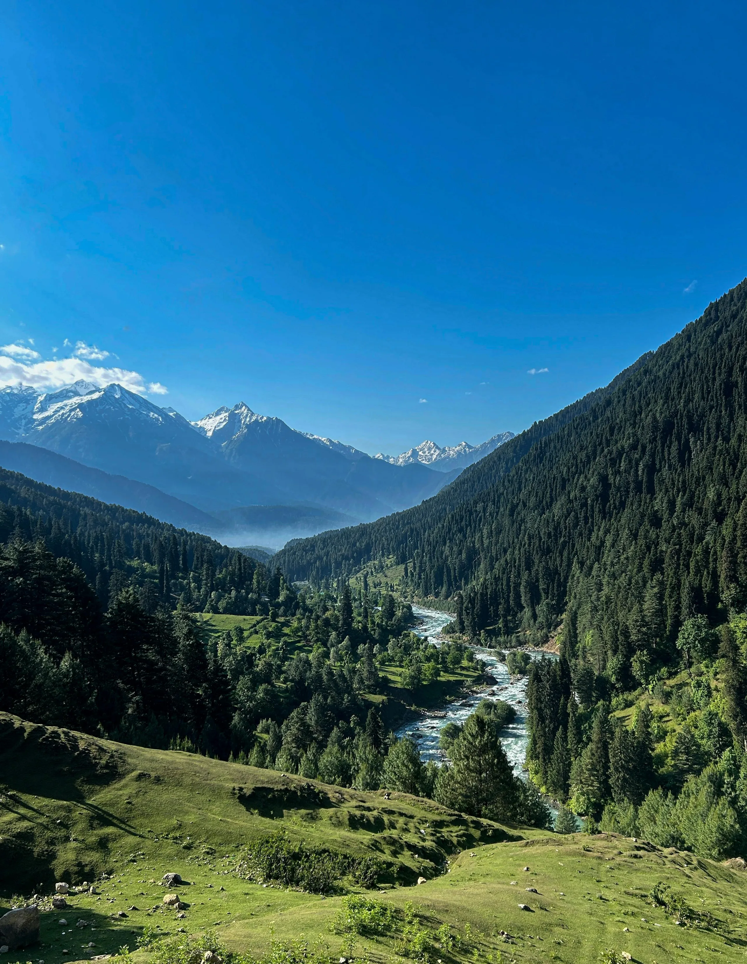 Pahalgam Valley View